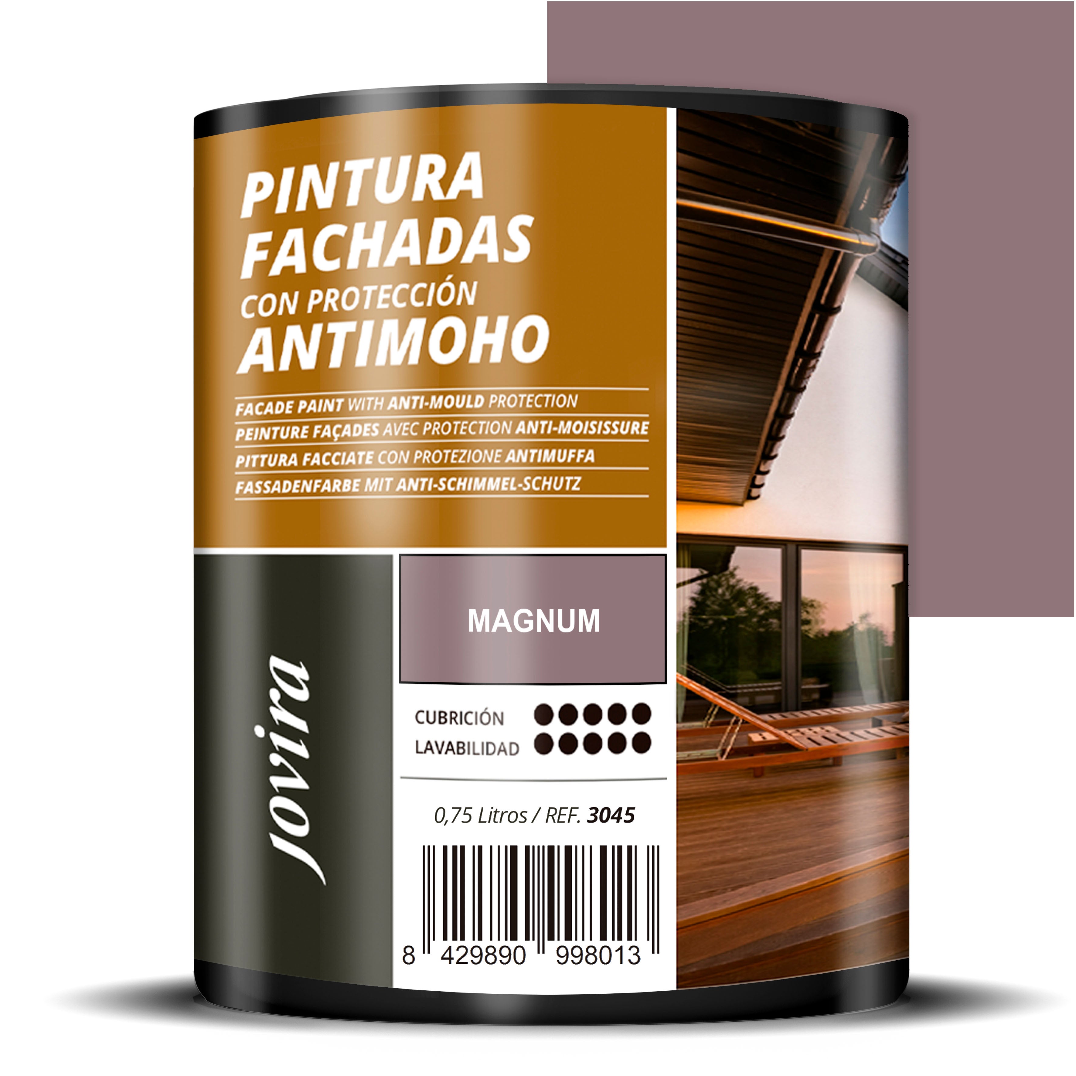PINTURA FACHADAS ANTIMOHO