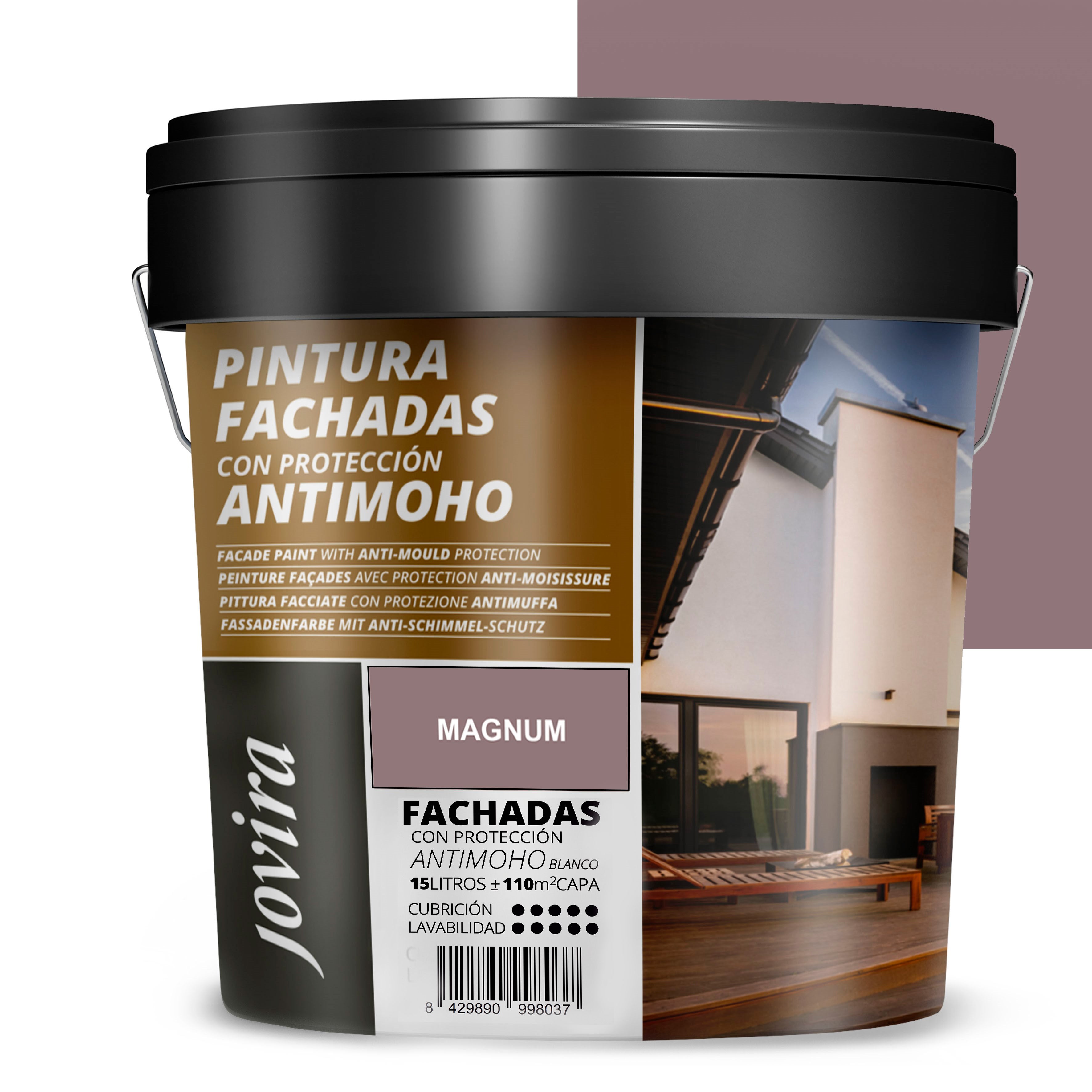PINTURA FACHADAS ANTIMOHO