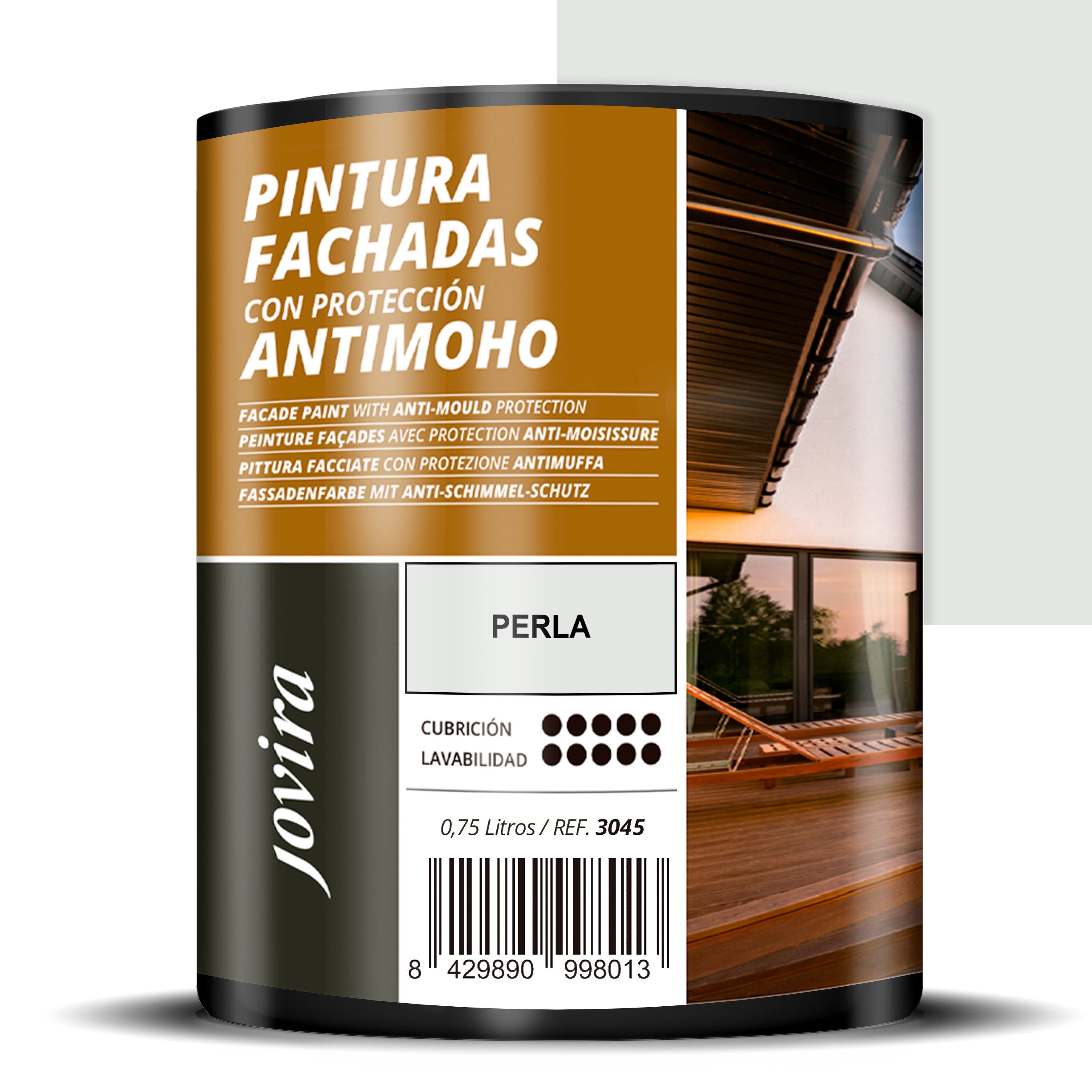 PINTURA FACHADAS ANTIMOHO