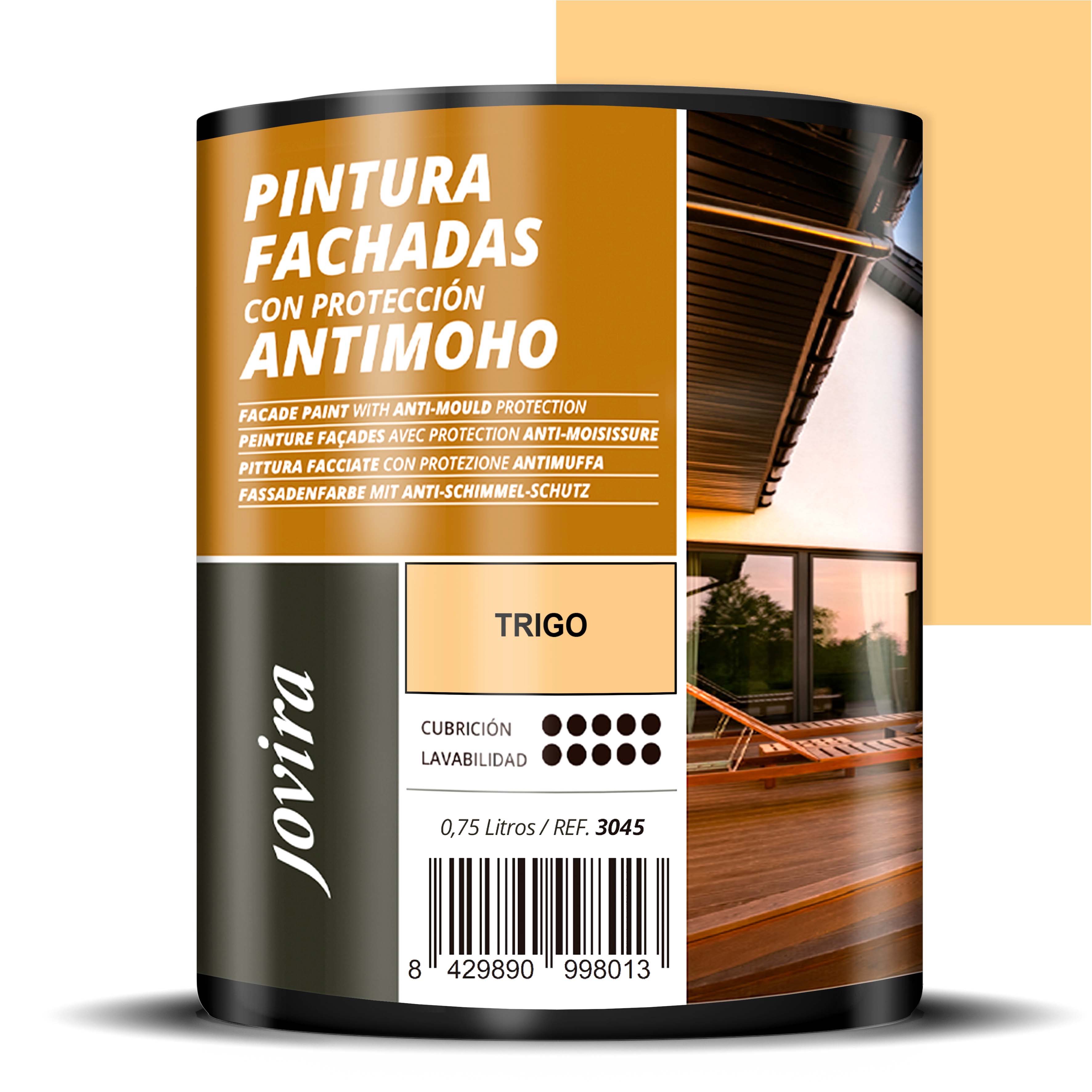 PINTURA FACHADAS ANTIMOHO