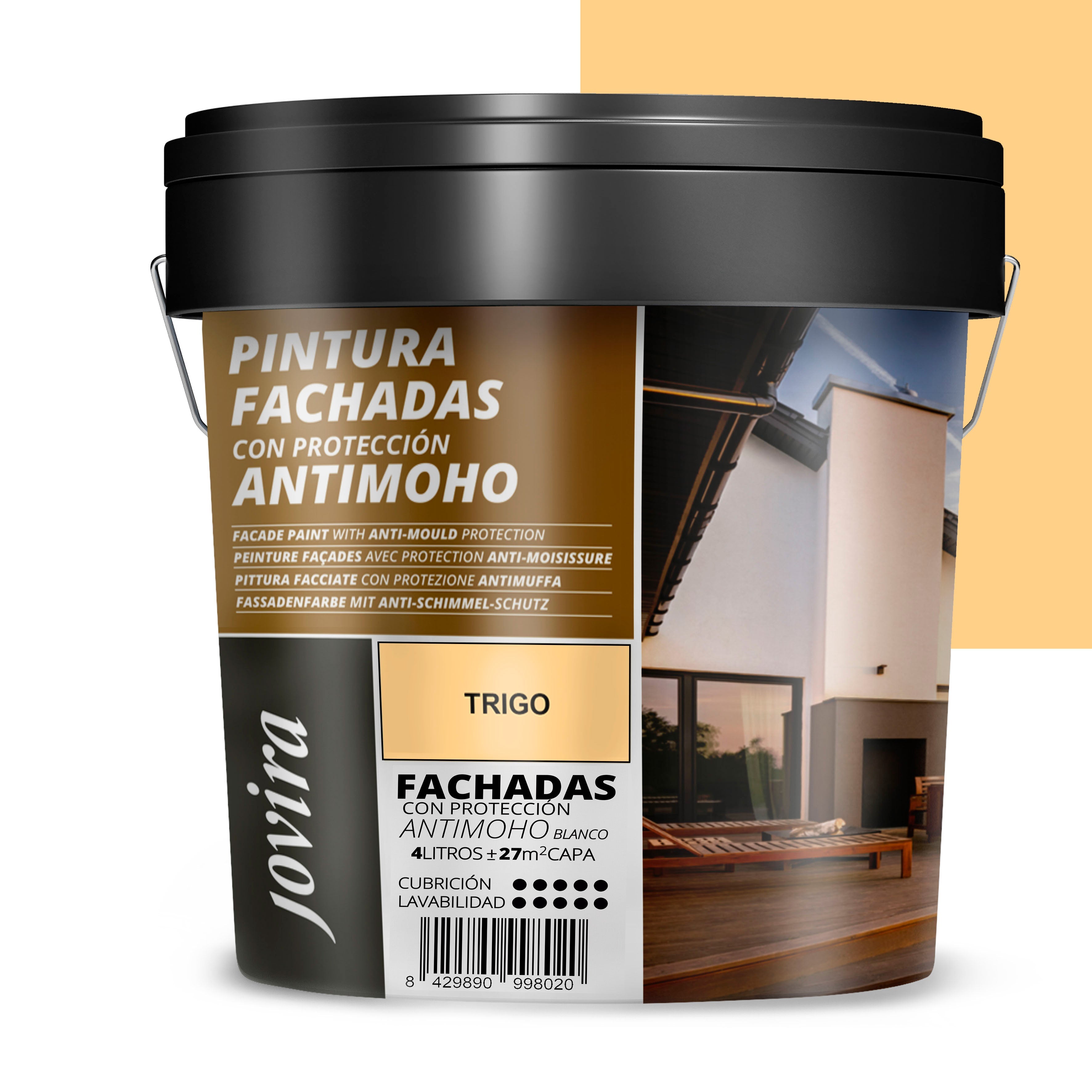 PINTURA FACHADAS ANTIMOHO