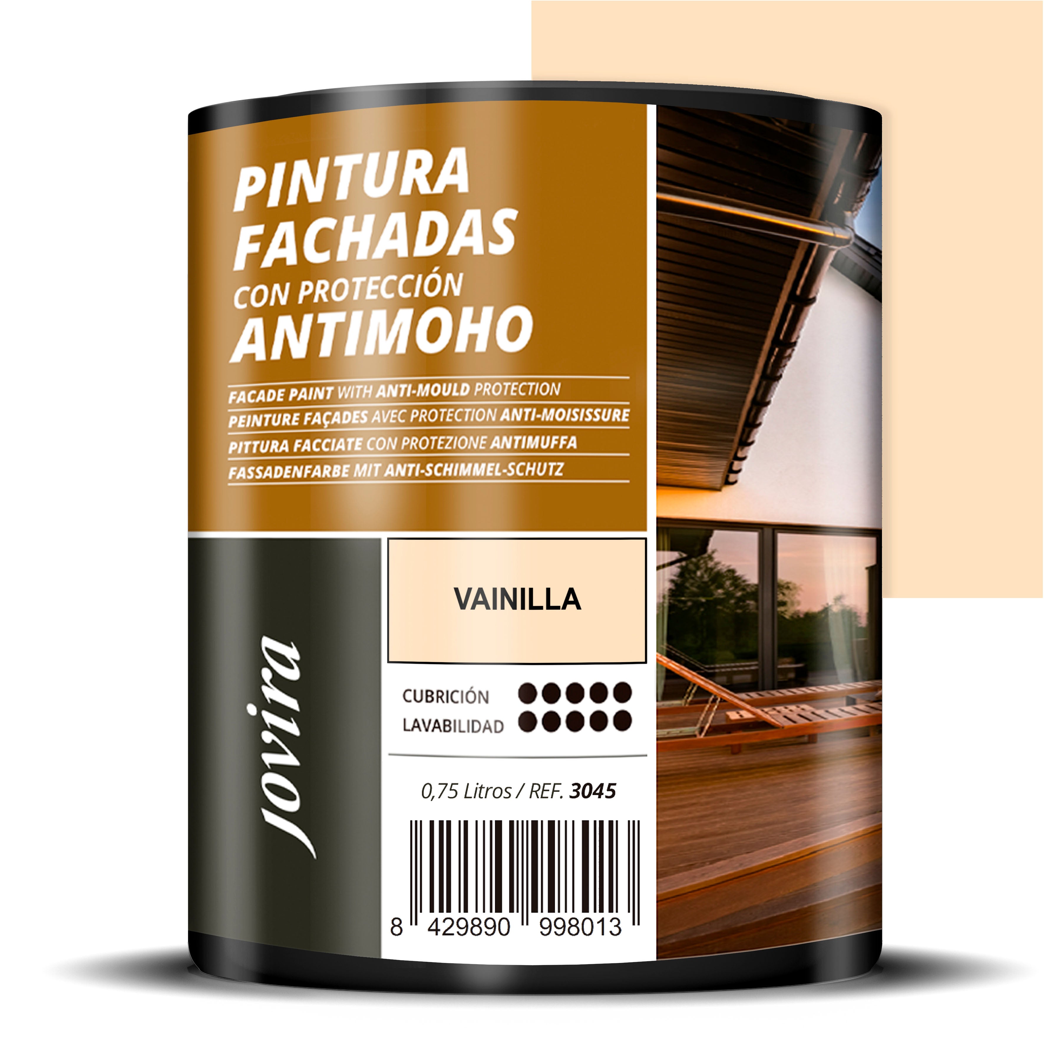 PINTURA FACHADAS ANTIMOHO