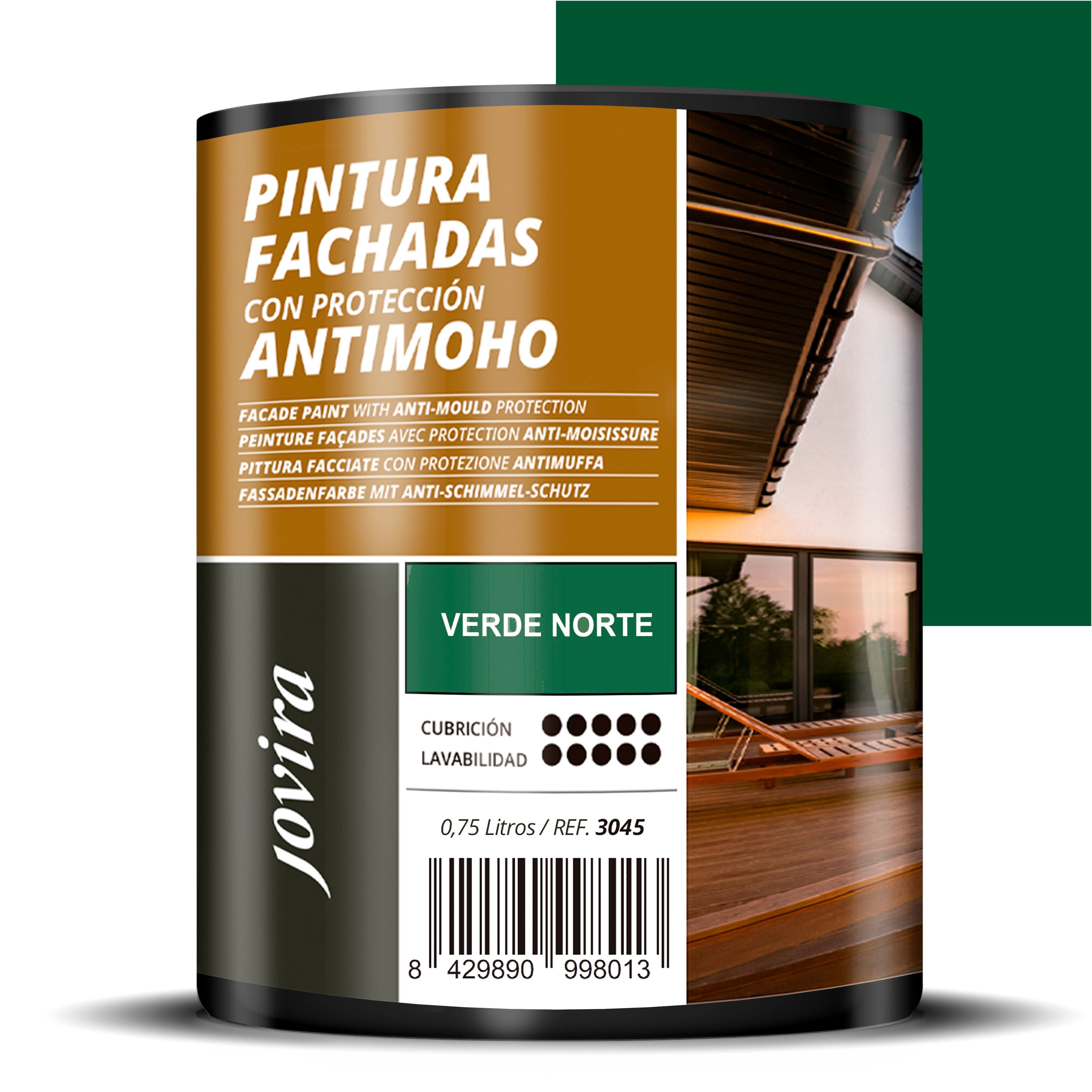 PINTURA FACHADAS ANTIMOHO